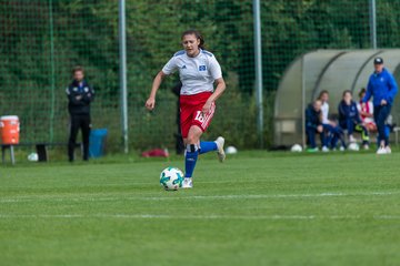 Bild 232 - B-Juniorinnen HSV - FF USV Jena : Ergebnis: 3:1